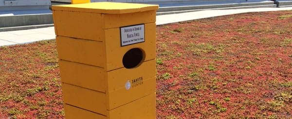 Javits-colored birdhouses on the facility's green roof provide shelter for American kestrels.