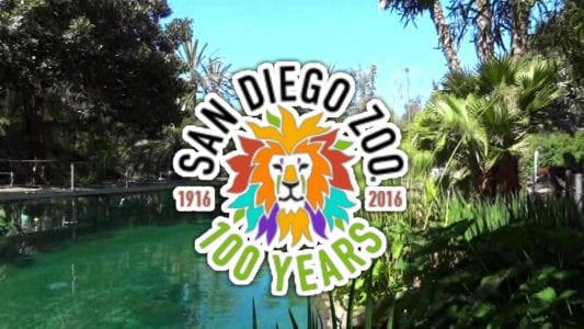 San Diego Zoo 100 years
