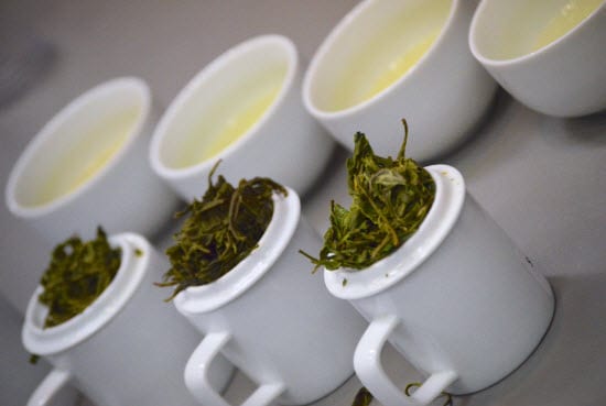 world tea expo cups