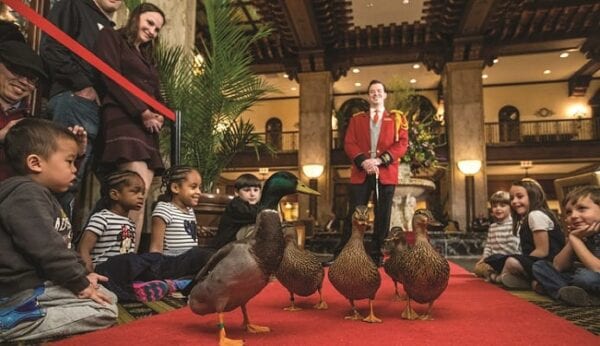 DEAL Peabody Ducks