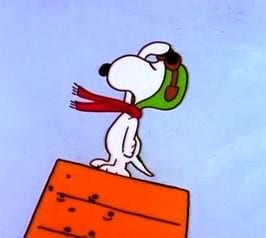Snoopy Salute Memorial Day