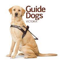 guide dogs victoria logo