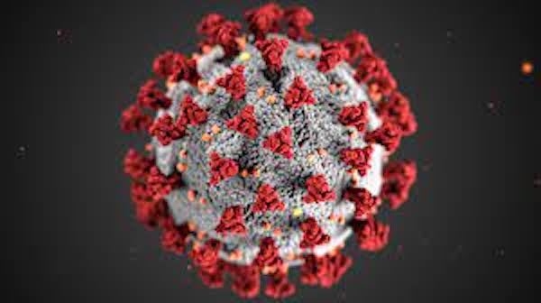 coronavirus