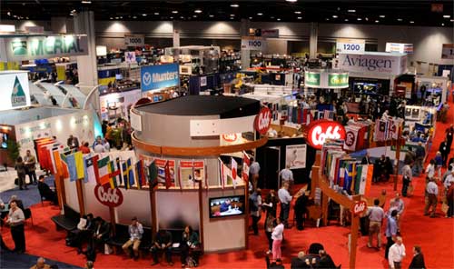 ippe